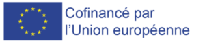 Emblème UE_Base_Jaune et Bleu avec Mention_Print_Cofinancé Bleu